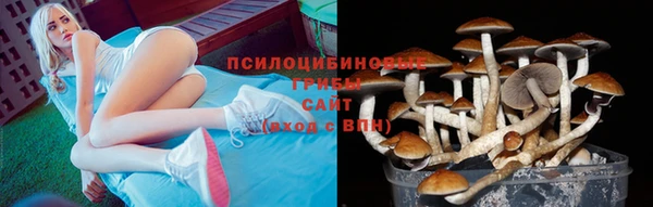 твердый Богородицк