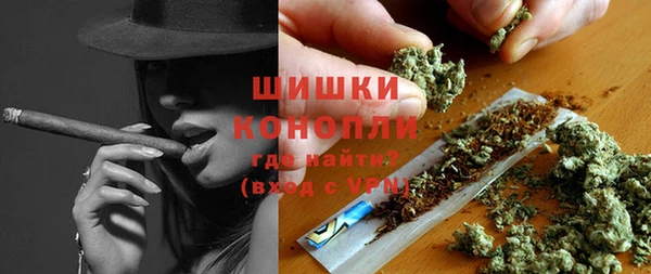 твердый Богородицк